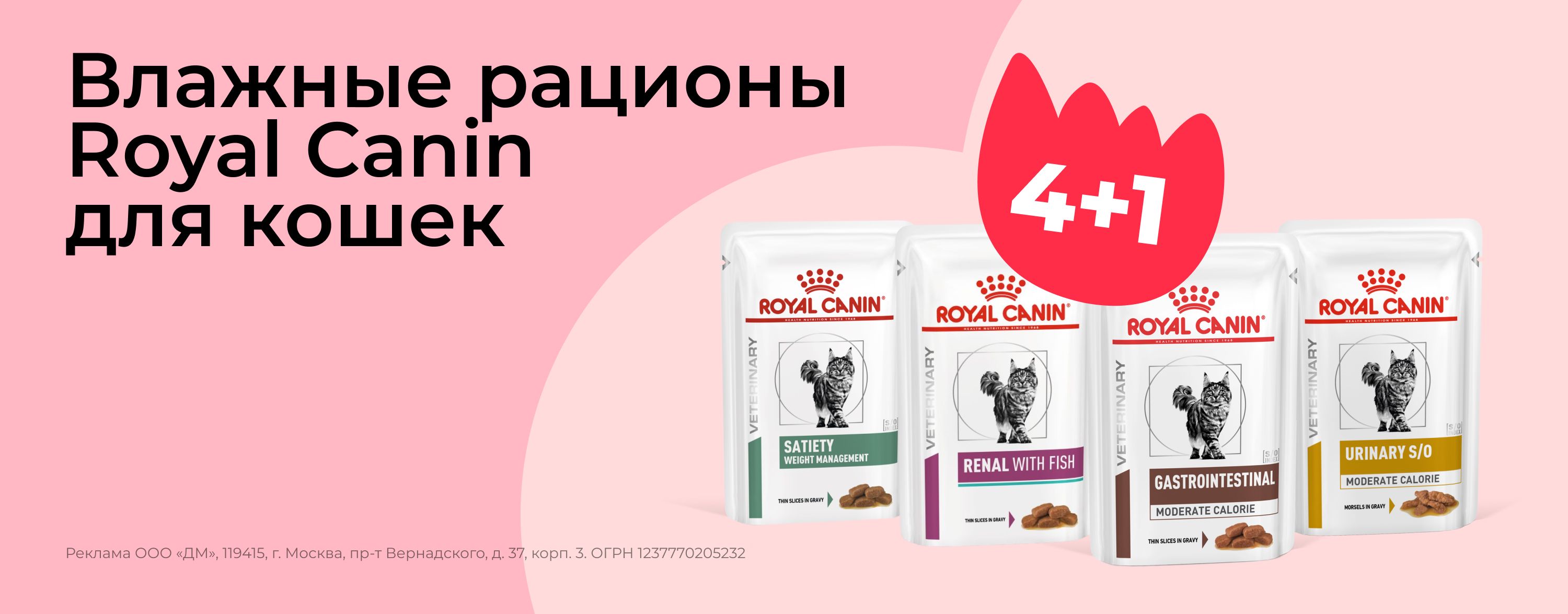 февраль_01.02.2026-28.02.2026_зоо маркетинг_Акция 4+1 на паучи для кошек Royal Canin_сайт_карусель