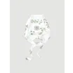 RadioImage