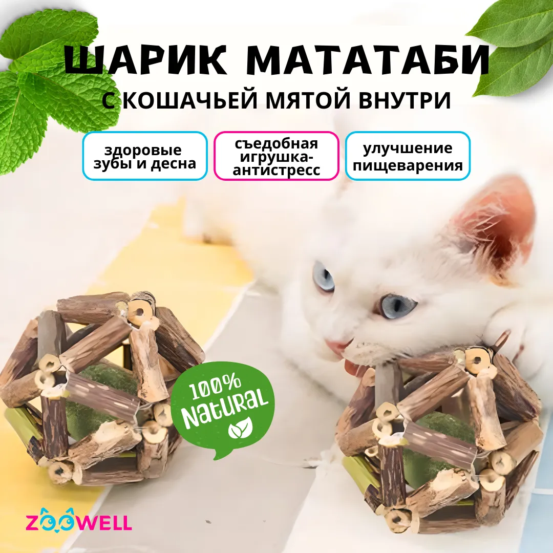 Игрушка для кошек ZDK ZooWell шар из палочек Мататаби Actinidia polygama  для чистки зубов с кошачьей мятой 6см купить по цене 269 ₽ с доставкой в  Москве и России, отзывы, фото