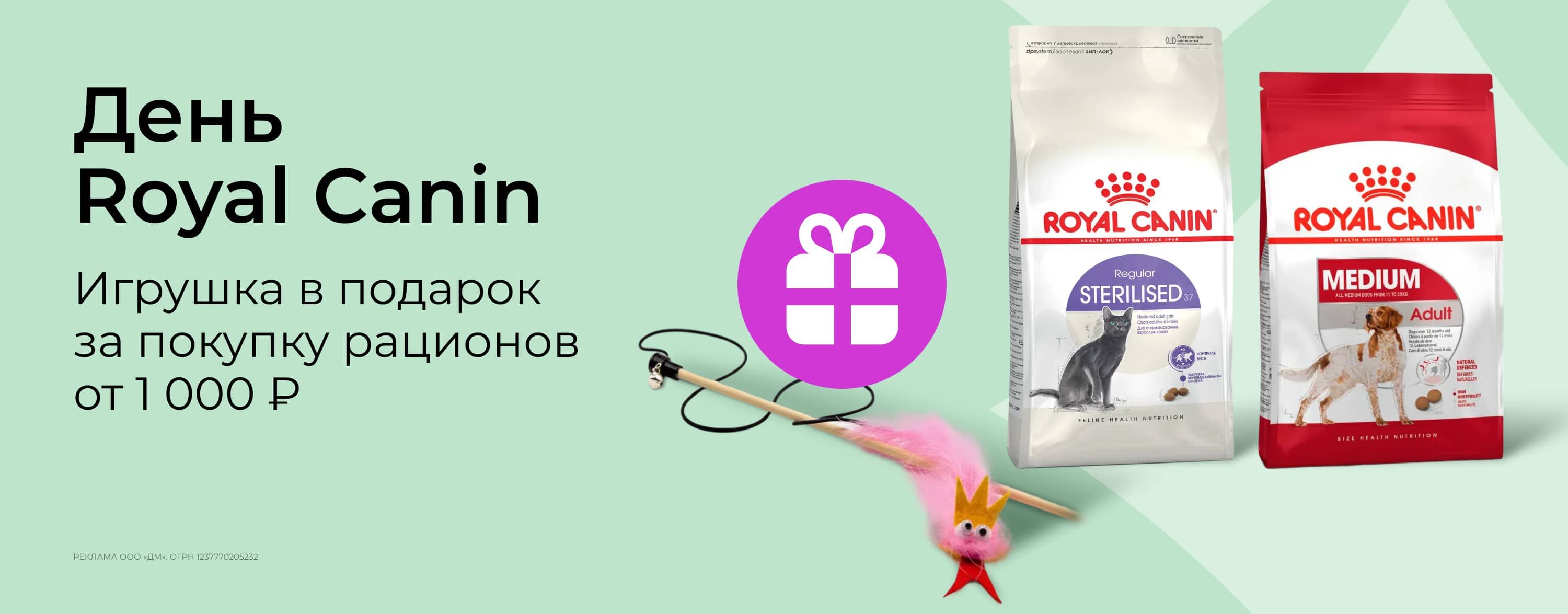 февраль_06.02.2026_зоо маркетинг_День Royal Canin. Игрушка в подарок за покупку сухого корма от 1000р._сайт_карусель