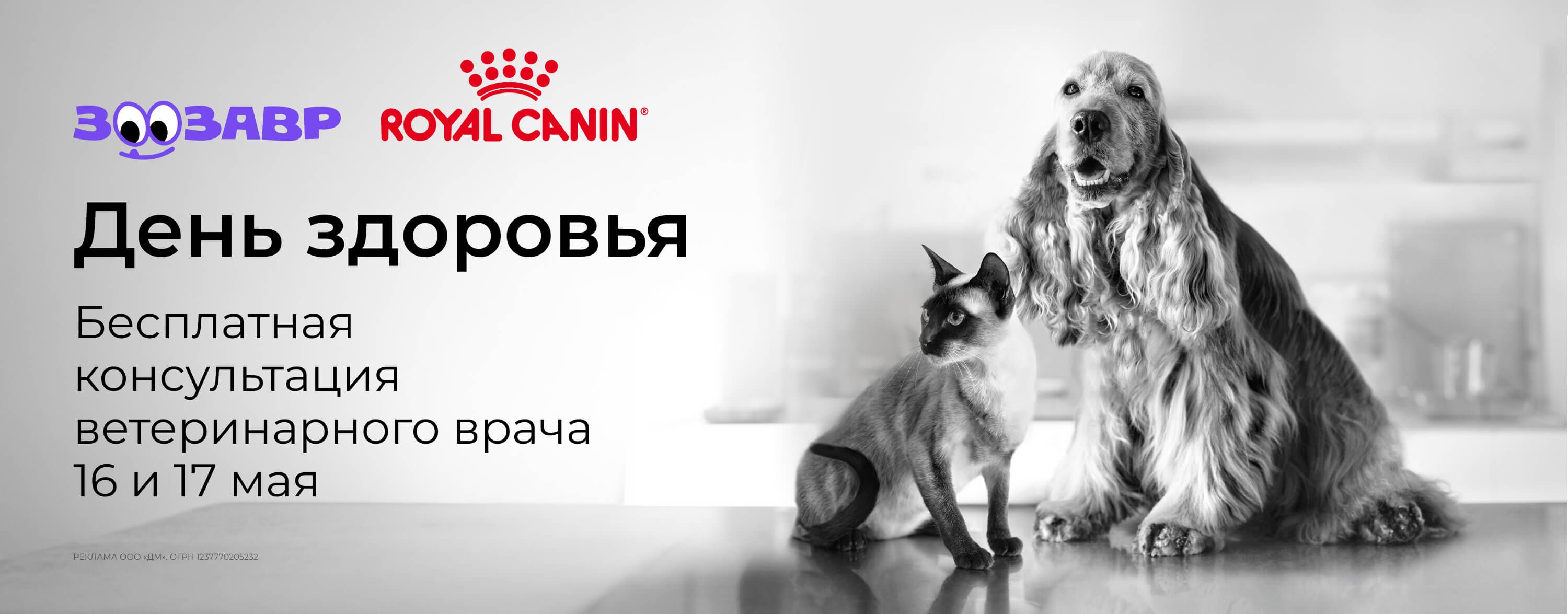 май_11.05.2026-17.05.2026_зоо маркетинг_Дни Здоровья Royal Canin_сайт_карусель