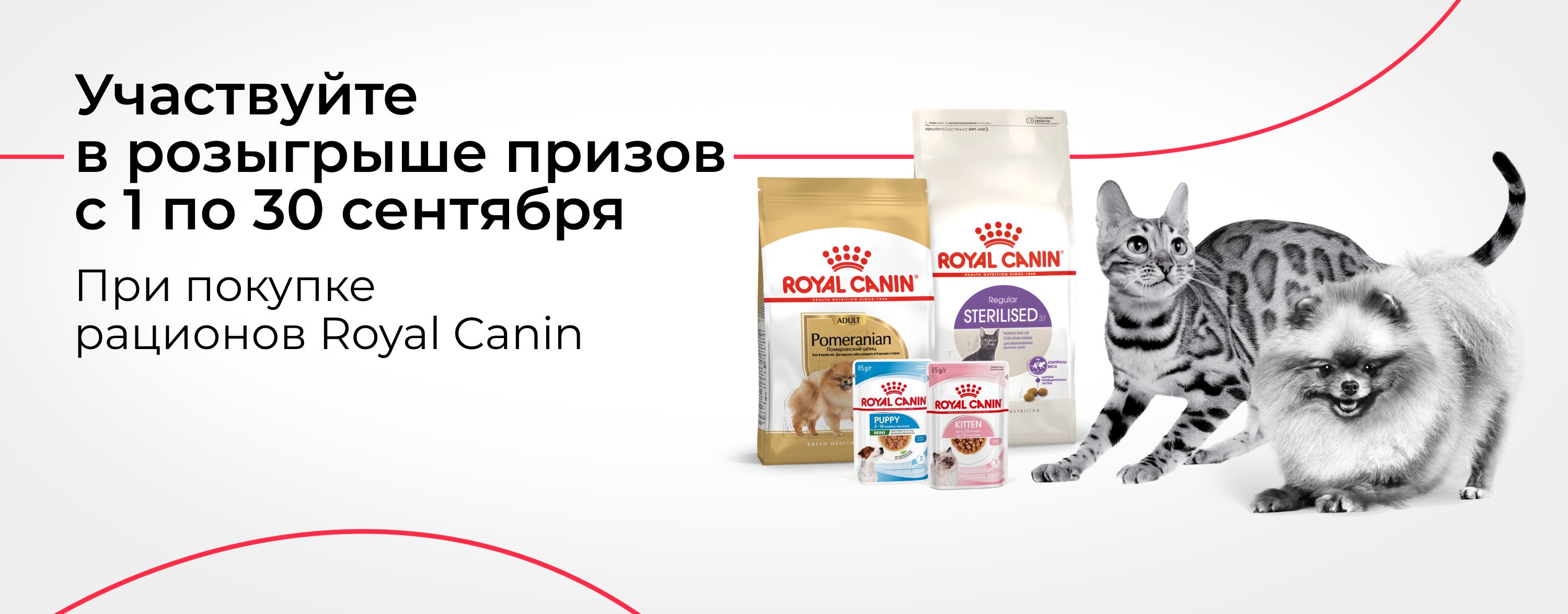 Сентябрь_01.09.2025-30.09.2025_зоо маркетинг_Розыгрыш призов за покупку рационов Royal Canin_сайт_карусель