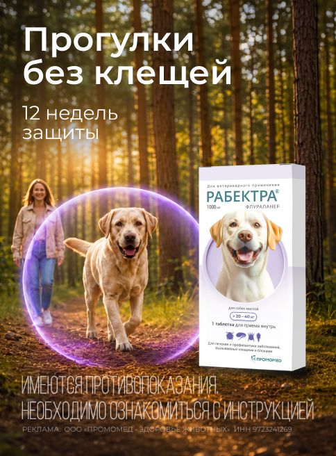 сентябрь-октябрь_14.09.2026-11.10.2026_зоо маркетинг_Препараты от клещей и блох для собак Рабектра_сайт_листинг