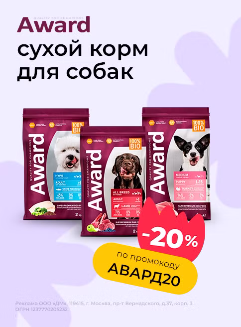 май_19.05.2025-25.05.2025_зоо маркетинг_Доп. скидка 20% на корма для собак Award по промокоду_сайт_листинг
