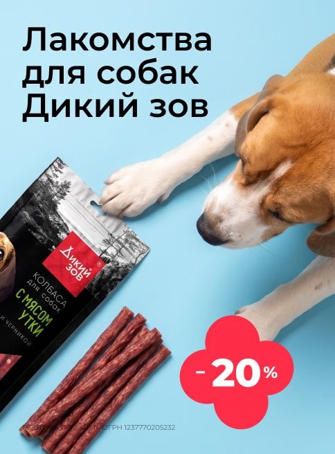 август_15.08.2026-22.08.2026_зоо маркетинг_Скидка 20% на лакомства для собак Дикий зов_сайт_листинг