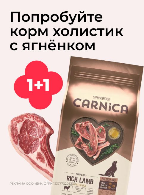 октябрь-ноябрь-декабрь_19.10.2026-31.12.2026_зоо маркетинг_Акция 1+1 на корм для собак Carnica_сайт_листинг