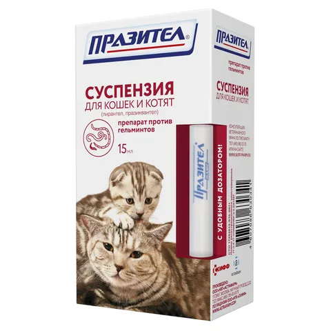 Глисты у кошек - симптомы и лечение 🐈 Purina