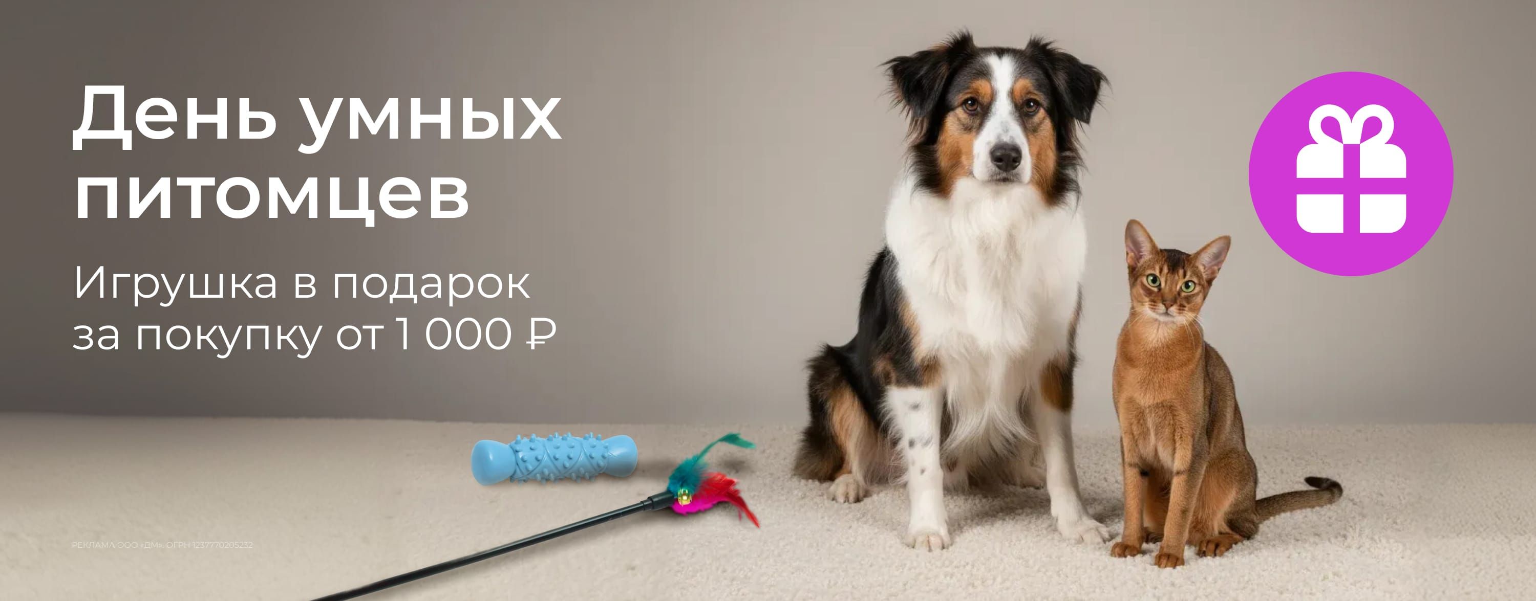 февраль_20.02.2026_зоо маркетинг_День умных питомцев. Развивающая игрушка в подарок за покупку зоотоваров от 1000 р._сайт_карусель
