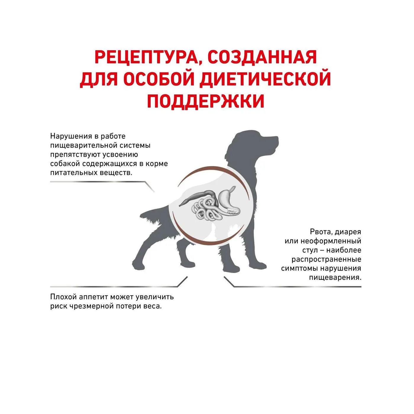 Royal canin gastro intestinal 2024 gl25